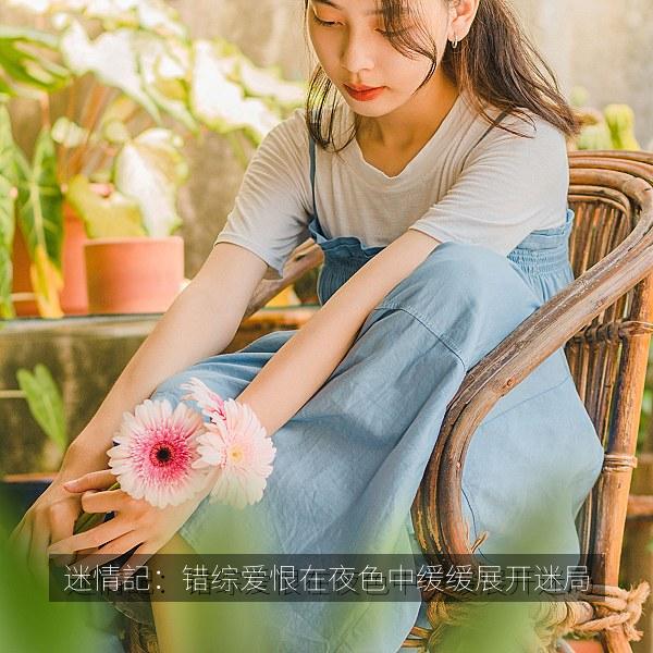迷情記：错综爱恨在夜色中缓缓展开迷局 海报