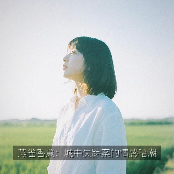 燕雀香巢：城中失踪案的情感暗潮 海报