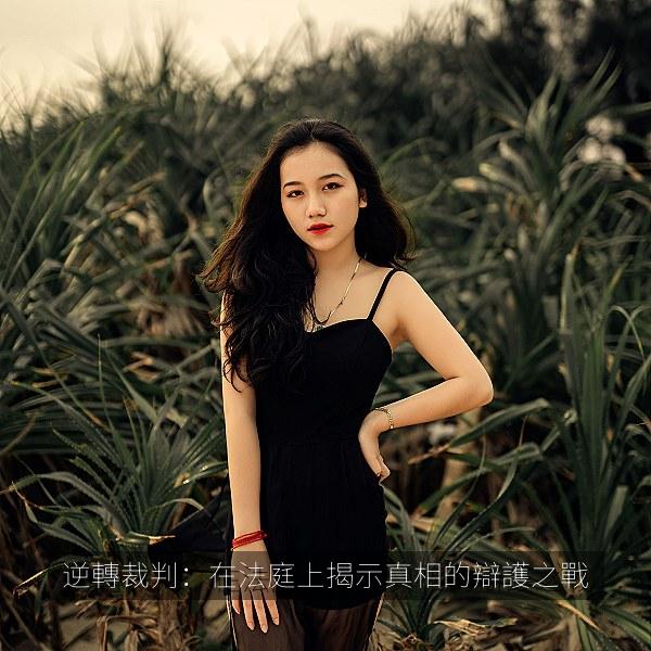 逆轉裁判：在法庭上揭示真相的辯護之戰 海报