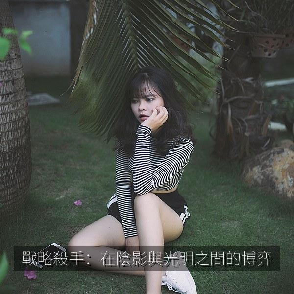 戰略殺手：在陰影與光明之間的博弈 海报