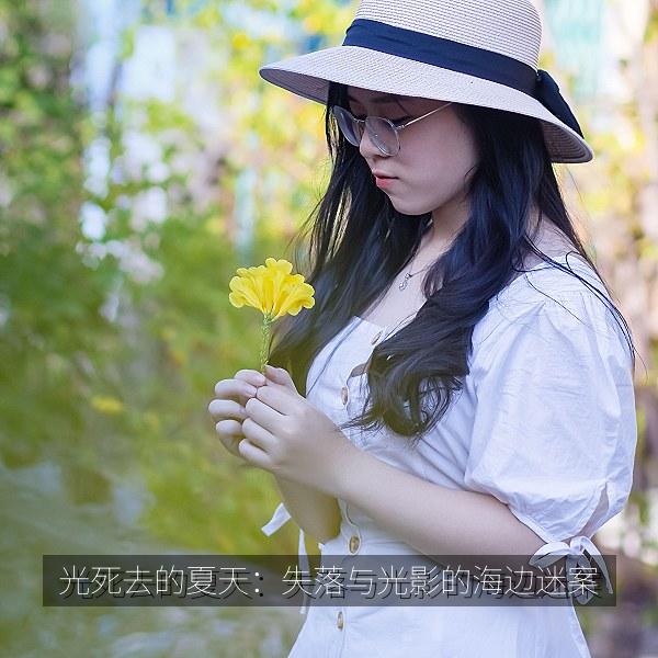 光死去的夏天：失落与光影的海边迷案 海报