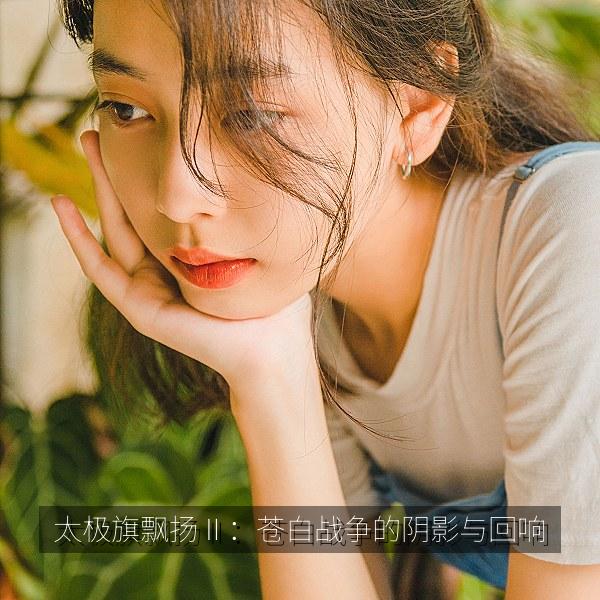 太极旗飘扬Ⅱ：苍白战争的阴影与回响