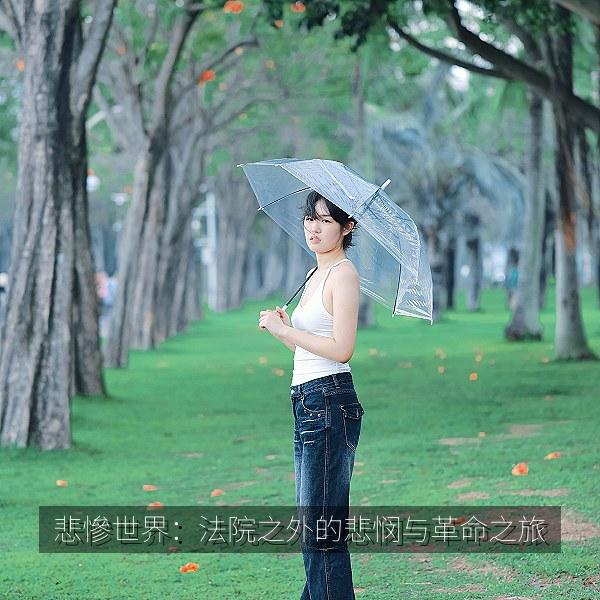 悲慘世界：法院之外的悲悯与革命之旅