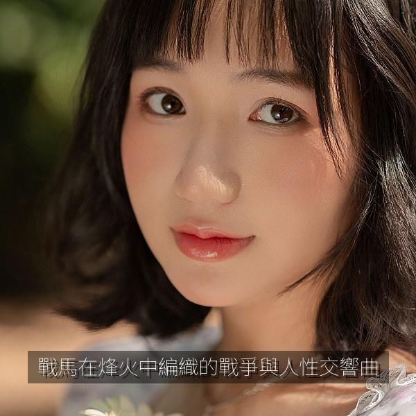 戰馬在烽火中編織的戰爭與人性交響曲 海报
