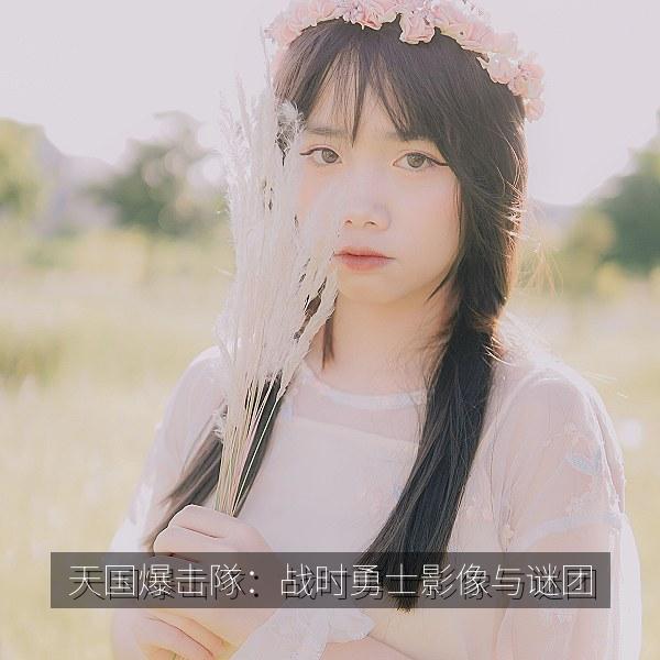 天国爆击隊：战时勇士影像与谜团