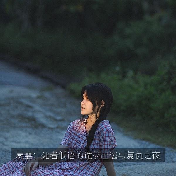 屍霊：死者低语的诡秘出逃与复仇之夜 海报