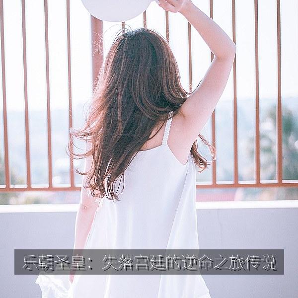 乐朝圣皇：失落宫廷的逆命之旅传说