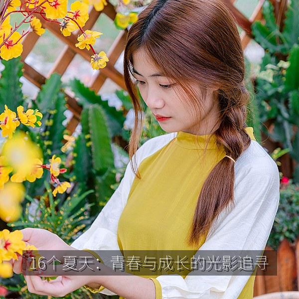 16个夏天：青春与成长的光影追寻 海报
