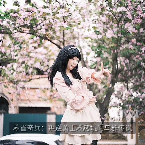 救雀奇兵：叛逆勇士救赭城的鸟群传说 海报