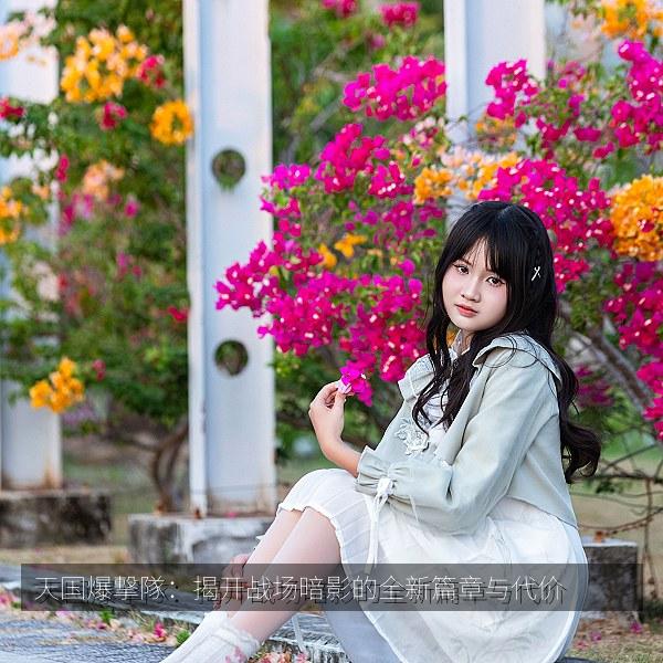 天国爆撃隊：揭开战场暗影的全新篇章与代价 海报