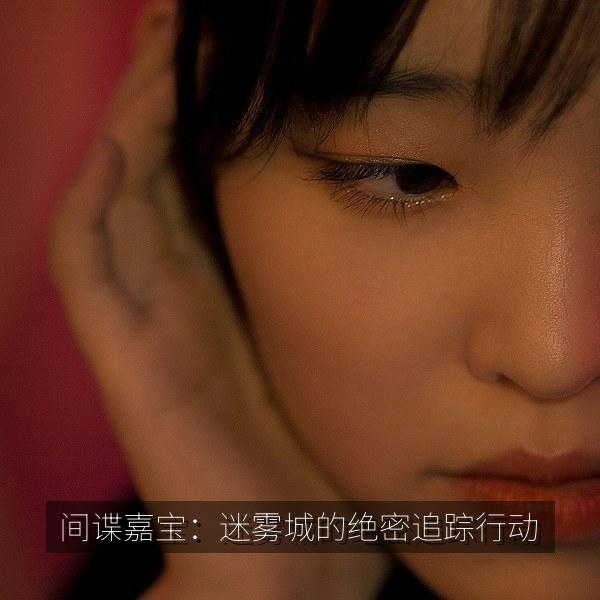 间谍嘉宝：迷雾城的绝密追踪行动 海报