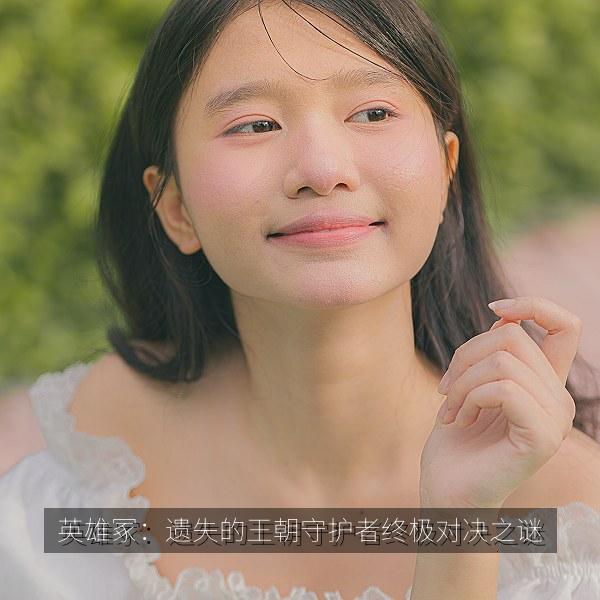 英雄冢：遗失的王朝守护者终极对决之谜 海报