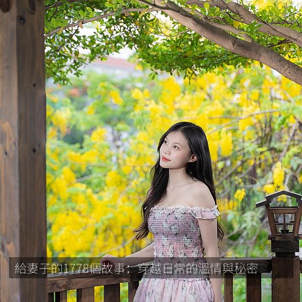 給妻子的1778個故事：穿越日常的溫情與秘密