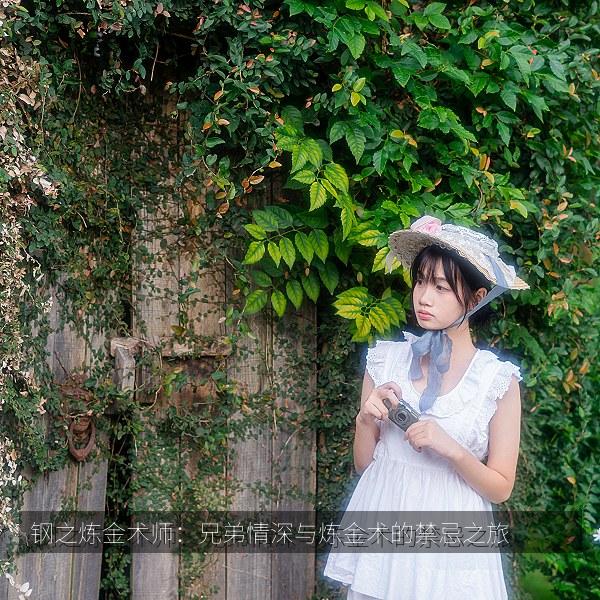 钢之炼金术师：兄弟情深与炼金术的禁忌之旅