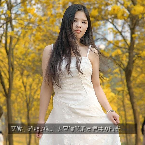 歷險小恐龍的海岸大冒險與朋友們共度時光 海报