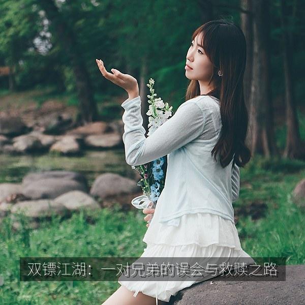 双镖江湖：一对兄弟的误会与救赎之路 海报