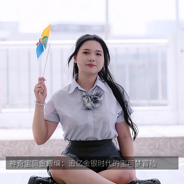 神奇宝贝金銀编：追忆金银时代的宝可梦冒险