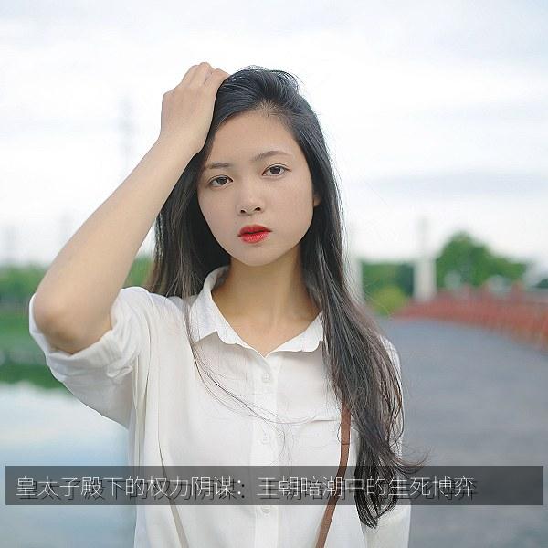 皇太子殿下的权力阴谋：王朝暗潮中的生死博弈