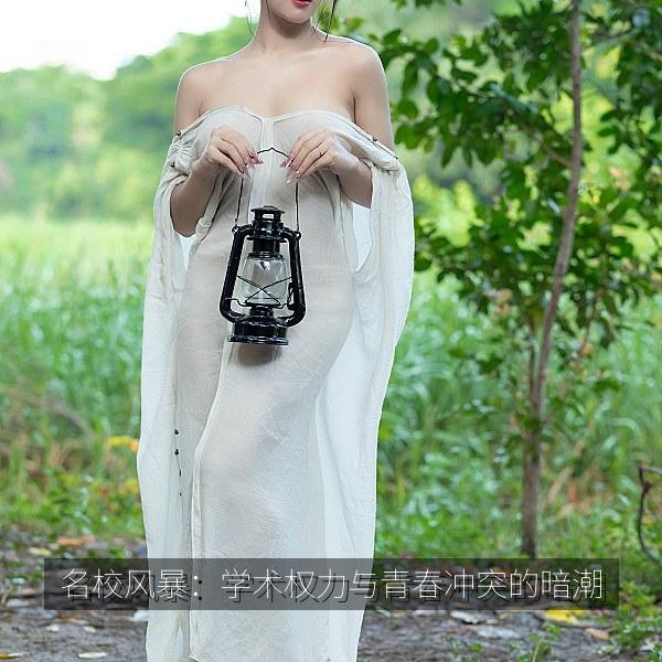 名校风暴：学术权力与青春冲突的暗潮 海报
