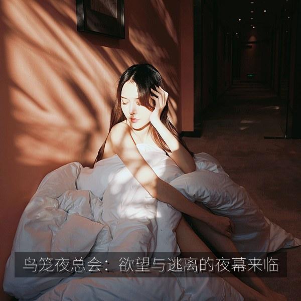 鸟笼夜总会：欲望与逃离的夜幕来临