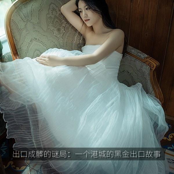 出口成髒的谜局：一个港城的黑金出口故事 海报