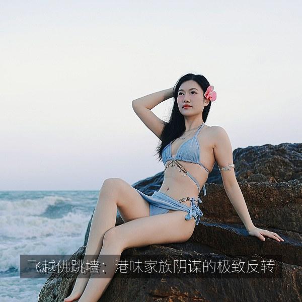 飞越佛跳墙：港味家族阴谋的极致反转相关影视海报