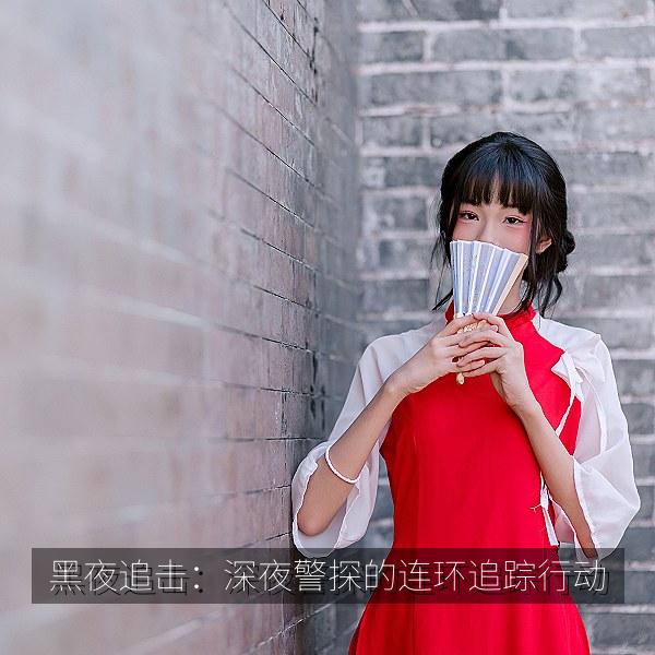 黑夜追击：深夜警探的连环追踪行动 海报