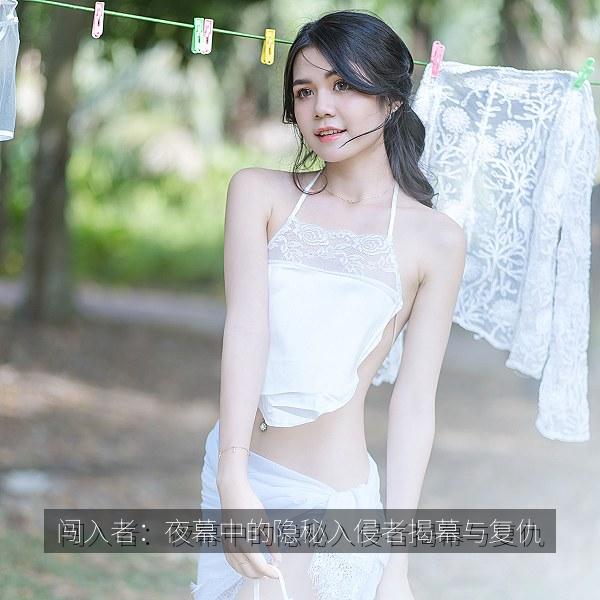 闯入者：夜幕中的隐秘入侵者揭幕与复仇