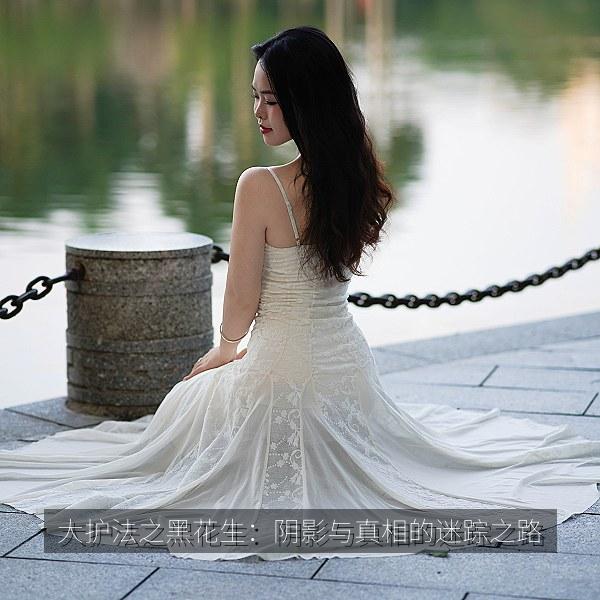 大护法之黑花生：阴影与真相的迷踪之路 海报