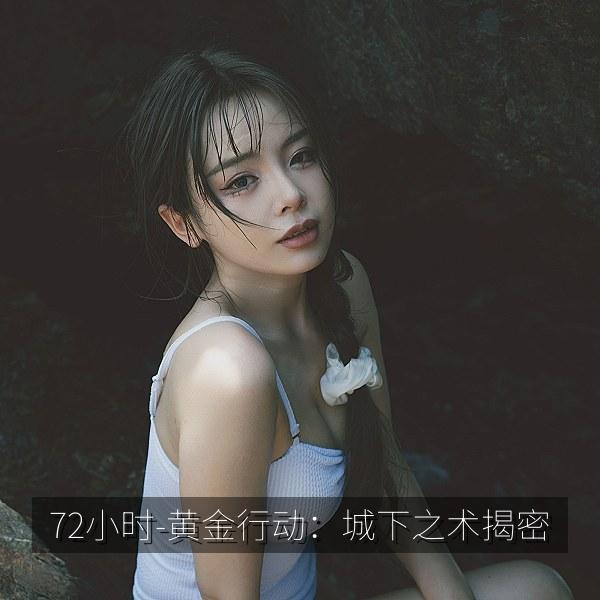72小时-黄金行动：城下之术揭密