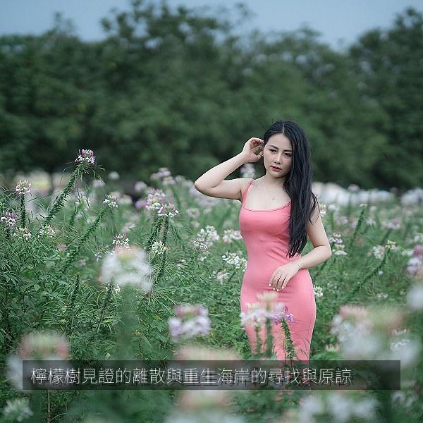 檸檬樹見證的離散與重生海岸的尋找與原諒相关影视海报