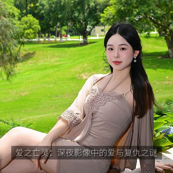 爱之亡灵：深夜影像中的爱与复仇之谜 纪录片海报