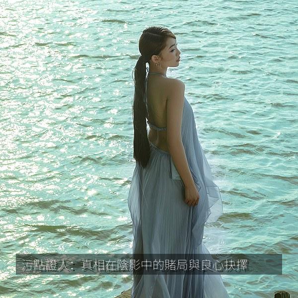 污點證人：真相在陰影中的賭局與良心抉擇 纪录片