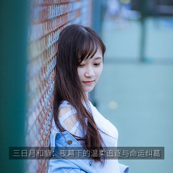 三日月和貓：夜幕下的温柔追逐与命运纠葛