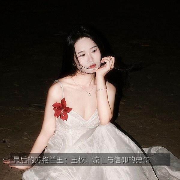 最后的苏格兰王：王权、流亡与信仰的史诗 海报