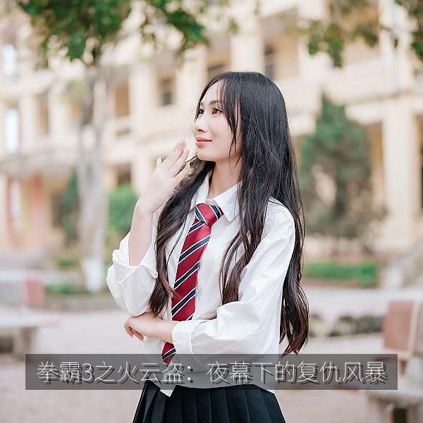 拳霸3之火云盗：夜幕下的复仇风暴 海报