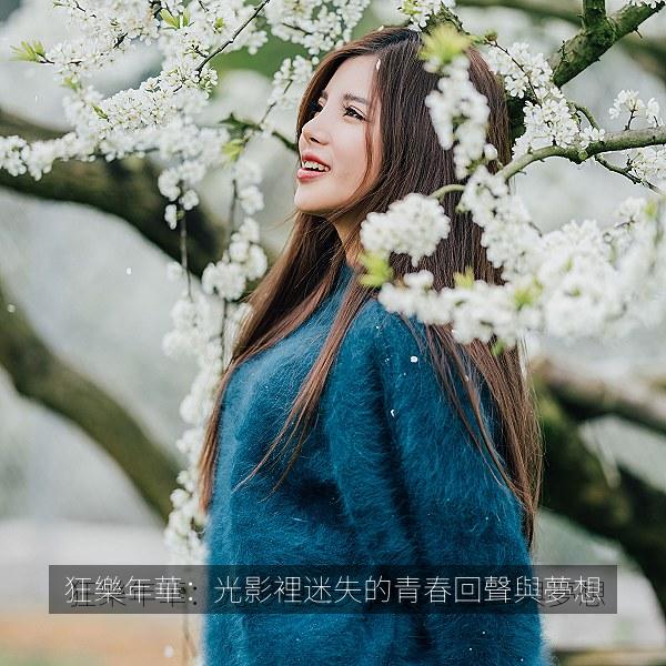 狂樂年華：光影裡迷失的青春回聲與夢想