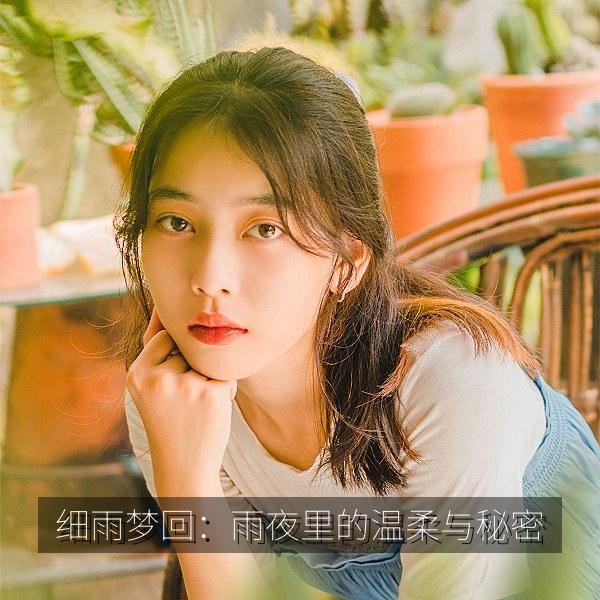 细雨梦回：雨夜里的温柔与秘密 海报