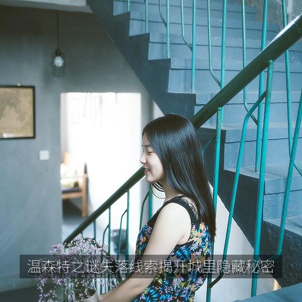 温森特之谜失落线索揭开城里隐藏秘密 海报