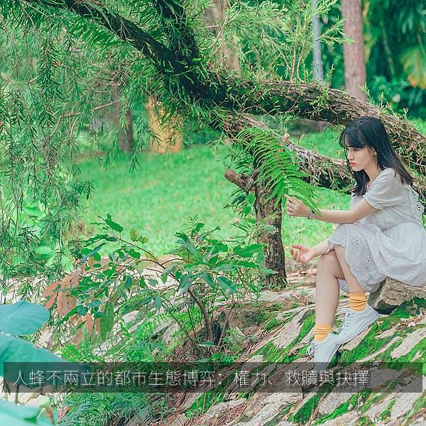 人蜂不兩立的都市生態博弈：權力、救贖與抉擇 剧照