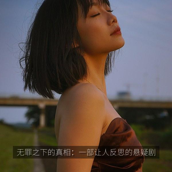 无罪之下的真相：一部让人反思的悬疑剧 海报