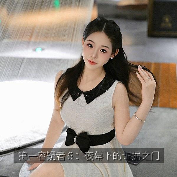 第一容疑者６：夜幕下的证据之门