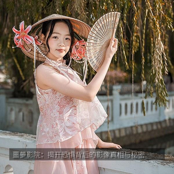 噩夢影院：揭开恐惧背后的影像真相与秘密相关影视海报