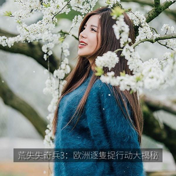 荒失失奇兵3：欧洲逐隻捉行动大揭秘 海报