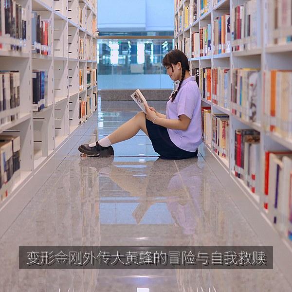 变形金刚外传大黄蜂的冒险与自我救赎 海报