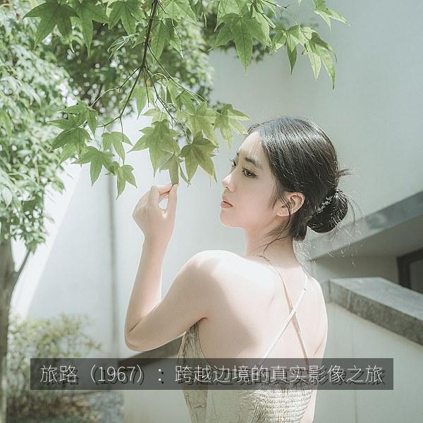 旅路（1967）：跨越边境的真实影像之旅