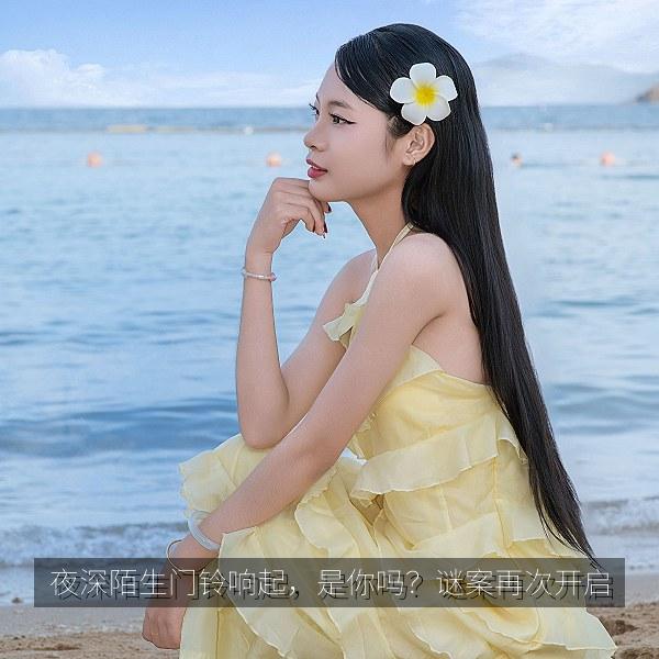 夜深陌生门铃响起，是你吗？谜案再次开启 剧照