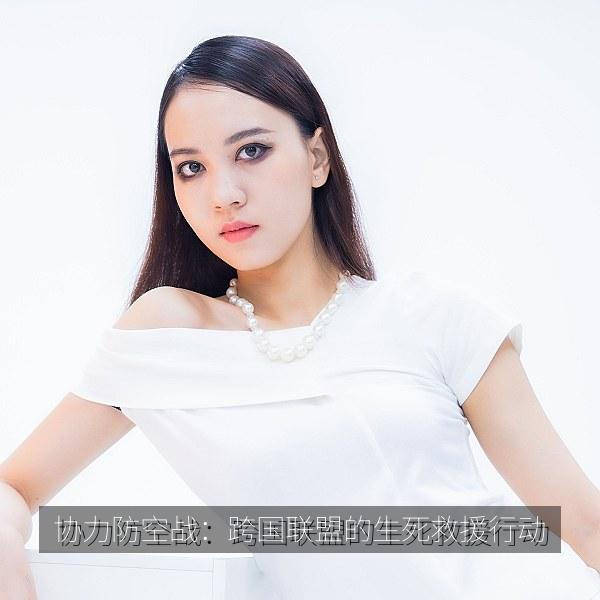 协力防空战：跨国联盟的生死救援行动 海报