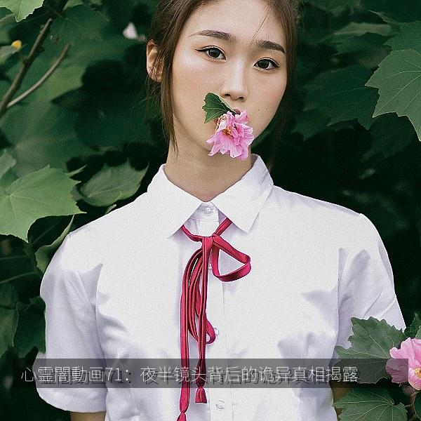 心霊闇動画71：夜半镜头背后的诡异真相揭露相关影视海报