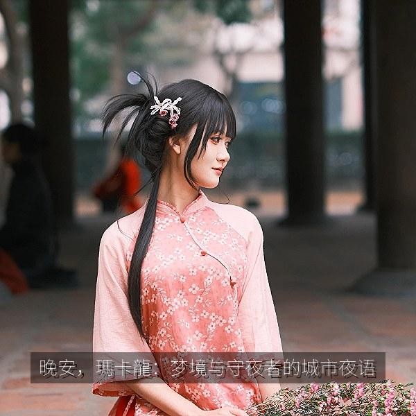 晚安，瑪卡龍：梦境与守夜者的城市夜语 海报